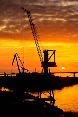 Construction cranes on the Sunset over the sea in Russiaの写真素材