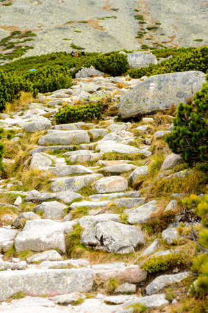 High Tatra Mountains (Vysoke Tatry) a mountain range along the border of Slovakia and Polandの写真素材
