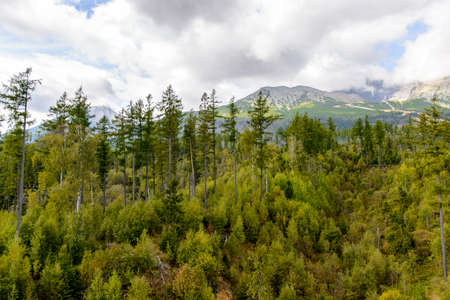 Beautiful nature of the High Tatra Mountains (Vysoke Tatry) a mountain range along the border of Slovakia and Polandの写真素材