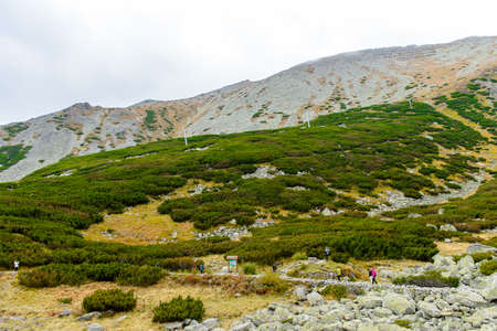 High Tatra Mountains (Vysoke Tatry) a mountain range along the border of Slovakia and Polandの写真素材