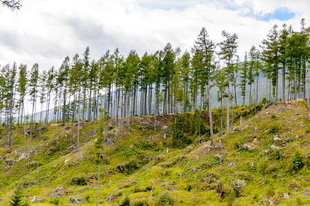 Beautiful nature of the High Tatra Mountains (Vysoke Tatry) a mountain range along the border of Slovakia and Polandの写真素材