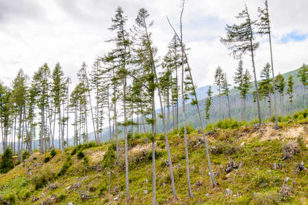 Beautiful nature of the High Tatra Mountains (Vysoke Tatry) a mountain range along the border of Slovakia and Polandの写真素材