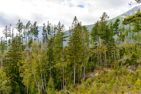 Beautiful nature of the High Tatra Mountains (Vysoke Tatry) a mountain range along the border of Slovakia and Polandの写真素材