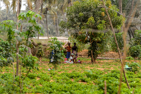 LOME, TOGO - Jan 9, 2017: Unidentified Togolese women rest after work in the garden. Togo people suffer of poverty due to the bad economyのeditorial素材