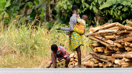 KUMASI, GHANA - Jan 16, 2017: Unidentified Ghanaian people collect tree branches. People of Ghana...