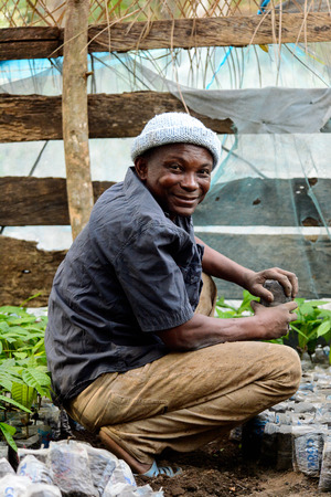 KUMASI, GHANA - Jan 16, 2017: Unidentified Ghanaian man in blue shirt and a hat works with plants. People of Ghana suffer of poverty due to the bad economyのeditorial素材