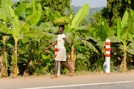 CENTRAL REGION, GHANA - Jan 17, 2017: Unidentified Ghanaian woman carries a basin with bananas in local village. People of Ghana suffer of poverty due to the bad economyのeditorial素材