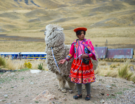 PERU - NOVEMBER 6, 2010: Portriat of a little girl in traditional clothes with a lama in Peru, Nov...