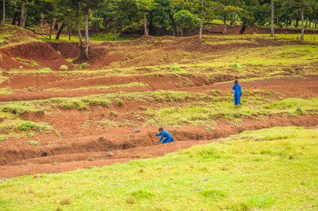 OMO, ETHIOPIA - SEPTEMBER 19, 2011: Unidentified Ethiopian children in the field. People in Ethiopia suffer of poverty due to the unstable situationのeditorial素材