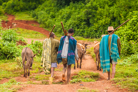 OMO, ETHIOPIA - SEPTEMBER 19, 2011: Unidentified Ethiopian boys with donkeys. People in Ethiopia suffer of poverty due to the unstable situationのeditorial素材