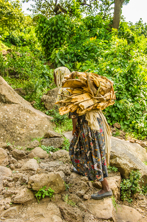 OMO, ETHIOPIA - SEPTEMBER 19, 2011: Unidentified Ethiopian woman carries wood. People in Ethiopia suffer of poverty due to the unstable situationのeditorial素材