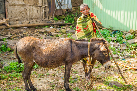 OMO, ETHIOPIA - SEPTEMBER 19, 2011: Unidentified Ethiopian boy and a donkey. People in Ethiopia suffer of poverty due to the unstable situationのeditorial素材