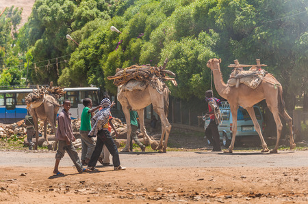 OMO, ETHIOPIA - SEPTEMBER 21, 2011: Unidentified Ethiopian boys and camels in the street. People in Ethiopia suffer of poverty due to the unstable situationのeditorial素材