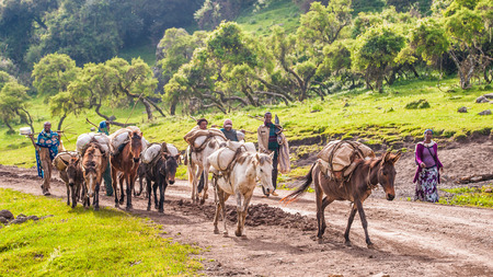 OMO, ETHIOPIA - SEPTEMBER 21, 2011: Unidentified Ethiopian men and horses. People in Ethiopia suffer of poverty due to the unstable situationのeditorial素材