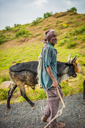 OMO, ETHIOPIA - SEPTEMBER 21, 2011: Unidentified Ethiopian man with a cow. People in Ethiopia suffer of poverty due to the unstable situationのeditorial素材