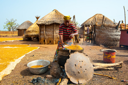 ACCRA, GHANA - MARCH 6, 2012: Unidentified Ghanaian  woman works with seeds in the field in Ghana....