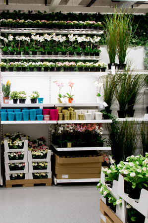 LUGANO, SWITZERLAND -NOV 4, 2017: Flowers in the IKEA shop in Lugano, Switzerland. The company was found in Sweden in 1943のeditorial素材
