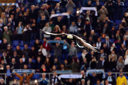ROME - OCT 29, 2018: Lazio symbol flying eagle over the stadium. SS Lazio - FC Internazionale...