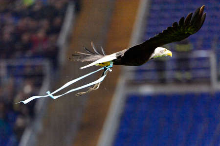 ROME - OCT 29, 2018: Lazio symbol flying eagle over the stadium. SS Lazio - FC Internazionale Milano. Serie A TIM. Stadio Olimpico.のeditorial素材