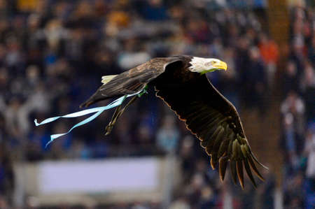 ROME - OCT 29, 2018: Lazio symbol flying eagle over the stadium. SS Lazio - FC Internazionale Milano. Serie A TIM. Stadio Olimpico.のeditorial素材