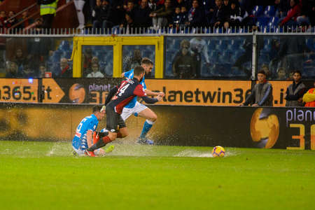 GENOVA - NOV 10, 2018: Fabian Ruiz 8.  C.F.C Genoa - SSC Napoli. Calcio Serie A TIM. Stadium Luigi Ferraris.のeditorial素材