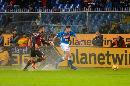 GENOVA - NOV 10, 2018: Fabian Ruiz 8.  C.F.C Genoa - SSC Napoli. Calcio Serie A TIM. Stadium Luigi Ferraris.のeditorial素材