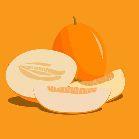 Autumn fruit illustration - orange pumpkinのイラスト素材