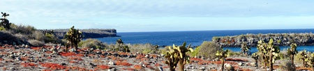 Panorama of the Islas Plaza in the Galapagos, Ecuadorの写真素材