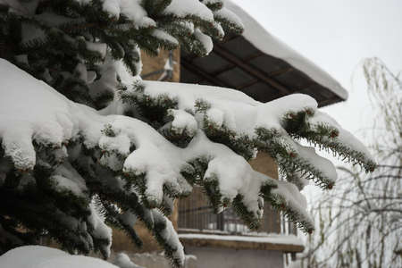 Snow-covered landscape.Winter at Trikala Korinthias, Peloponnese, Greeceの写真素材
