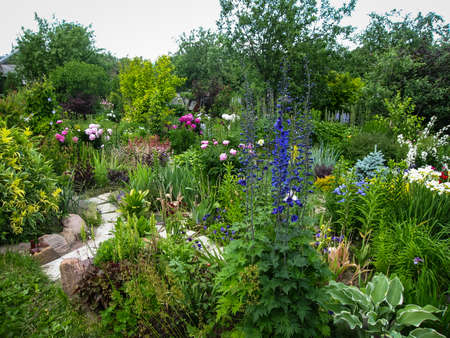 Spring flowers in a garden at Palekh,  Vladimir region, Russiaの写真素材