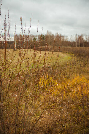 Season of bad roads. Autumn roads around Palekh, Vladimir region, Russiaの写真素材