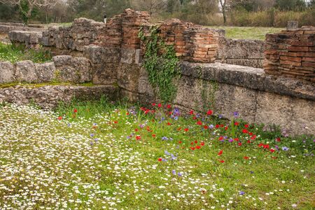 Ancient Greek ruins at the archaeological place of Ancient Olimpia, Peloponnese, Greeceの写真素材