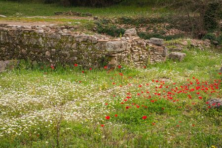 Ancient Greek ruins at the archaeological place of Ancient Olimpia, Peloponnese, Greeceの写真素材