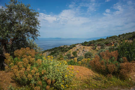 Picturesque landscape of sea and mountain at Pelion, Greeceの写真素材