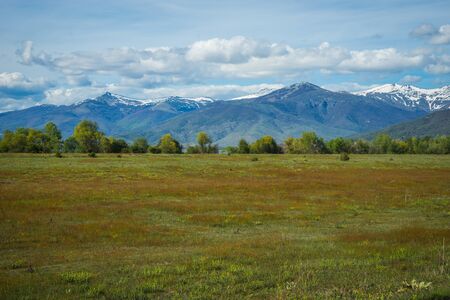 Image of blooming field on a background of snow-capped mountains, Prespa, Greeceの写真素材