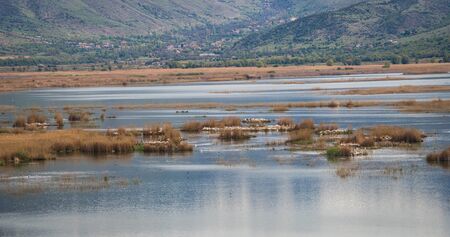 The picturesque view of Lake Prespa and dry grass, Greeceの写真素材
