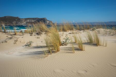 Beautiful sandy beach Simos at Elafonisos island, Greeceの写真素材