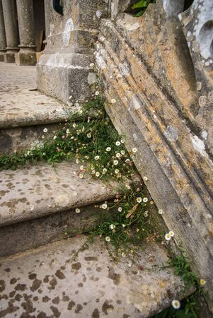 Image of flowers at Monseraty park, Cintra, Portugalの写真素材