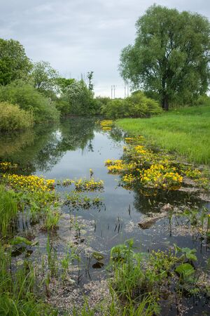 Scenic landscape with a river and yellow flowers, Bogolubovo, Russia