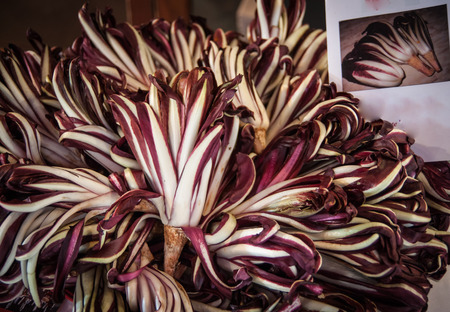 Scenic image of Radicchio, Venice, Italyの写真素材