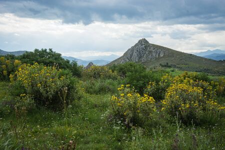 Image of Cloudy mountain landscape with yellow flowersの写真素材