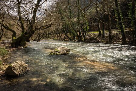 Image of Spring forest and the river, Central Greeceの写真素材