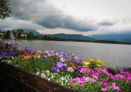 Scenic landscape with lake and flowers in Bavaria, Germany