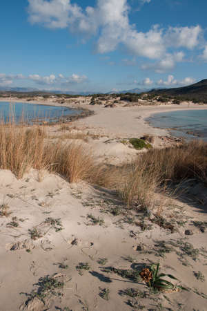 Image of Narrow braid to the semi-island, Simos beach, Elafonisos, Greeceの写真素材