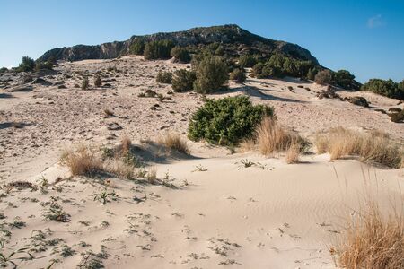 Image of Sand dune on the Simos beach, Elafonisos, Greeceの写真素材