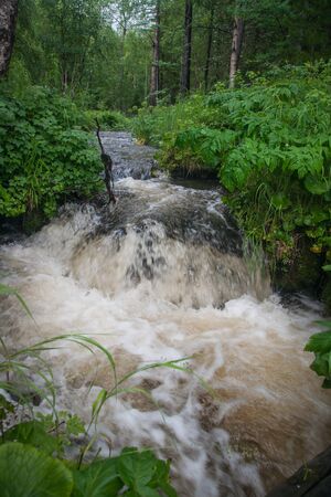 Image of small river flows into Lake Baikal, Russiaの写真素材