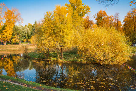 Image of golden autumn in  Moscow parks, Russiaの写真素材