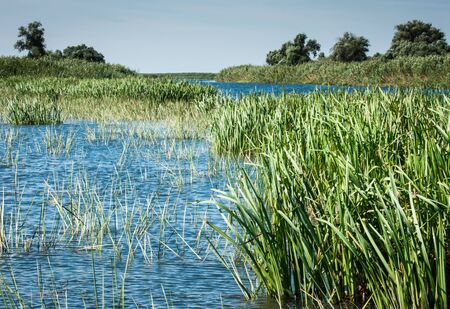 Landscape with a river of central Russia, Volga deltaの写真素材