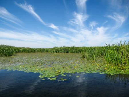 Landscape with a river of central Russia, Volga delta