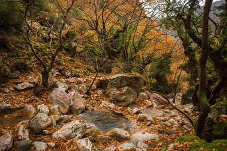 Autumn landscape with a river, Karpenisi, Greeceの写真素材